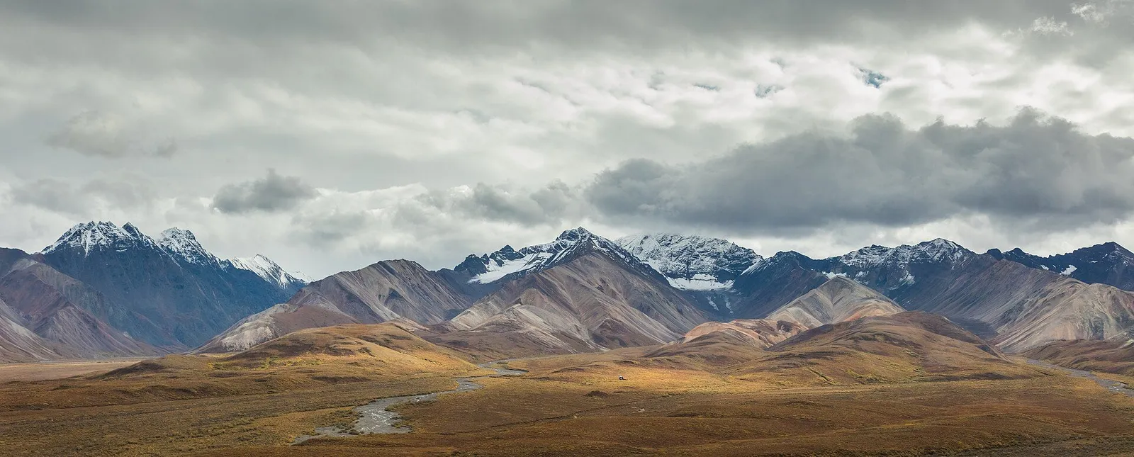 Denali and the Alaska Range above a forested valley