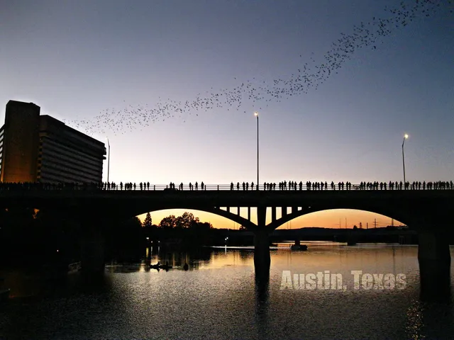 Congress Avenue Bridge Bats in Austin