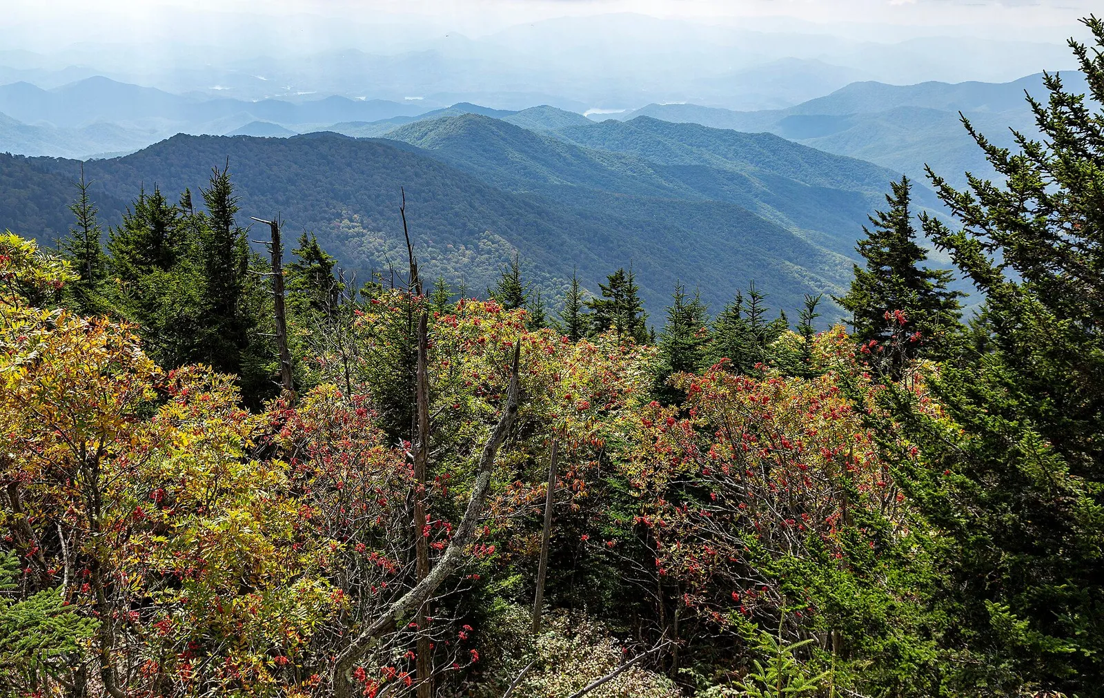 Layered smoky mountain ridges fading into morning mist