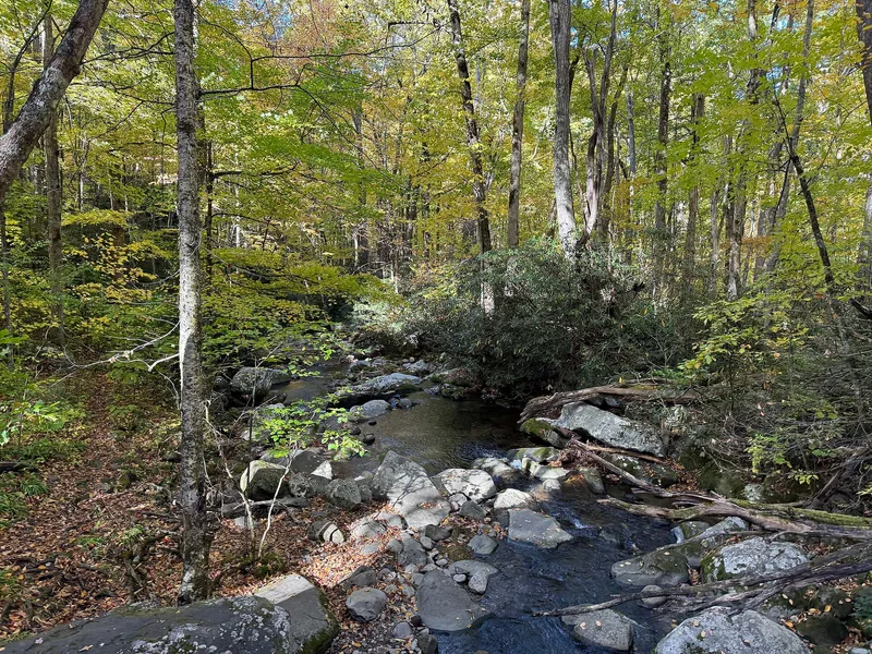 Roaring Fork Motor Nature Trail in Great Smoky Mountains National Park