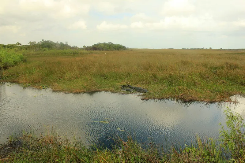 Everglades National Park in Miami