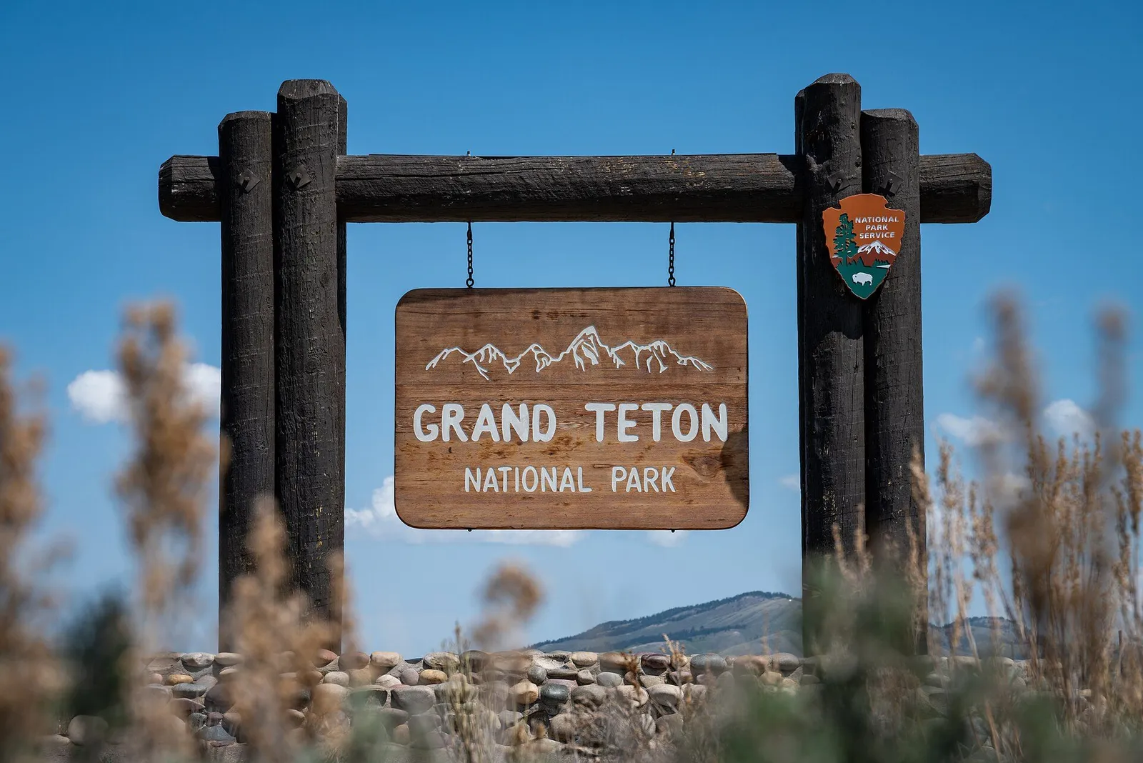 A winding road through a US national park with mountains in the distance and bison grazing near the roadside