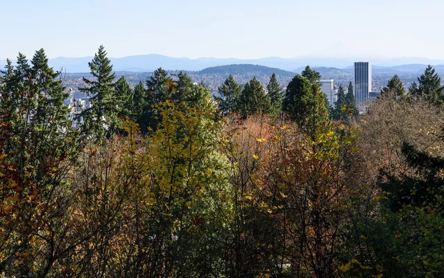 Washington Park in Portland