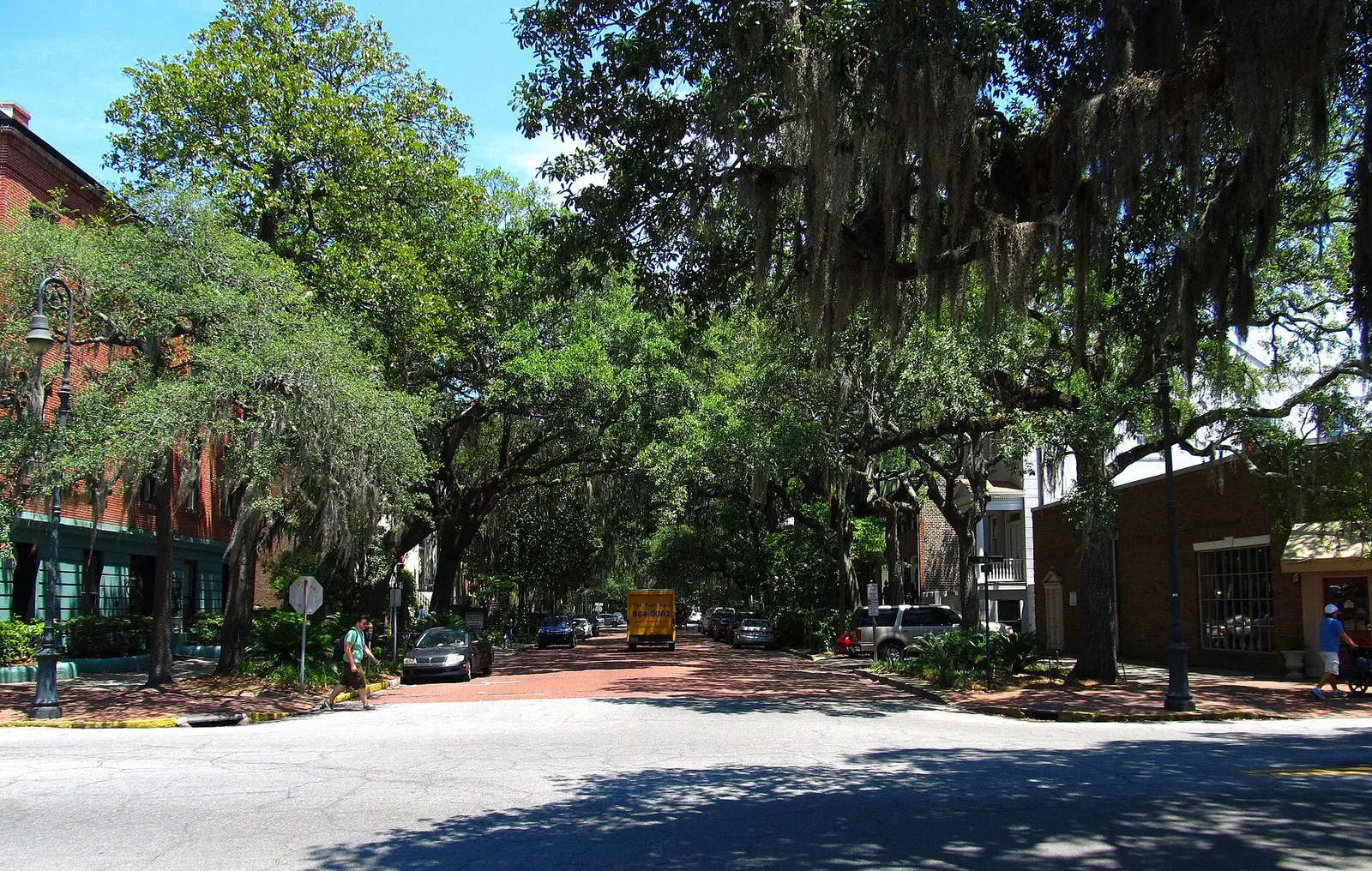 Live oaks draped with Spanish moss over a Savannah street