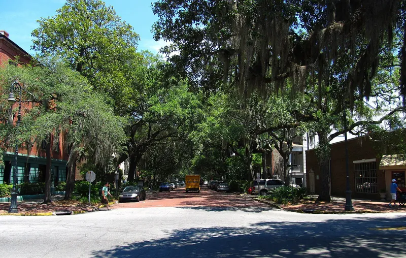 Live oaks draped with Spanish moss over a Savannah street