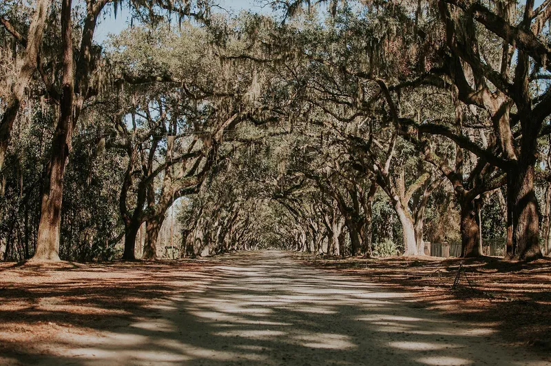 Wormsloe Historic Site in Savannah