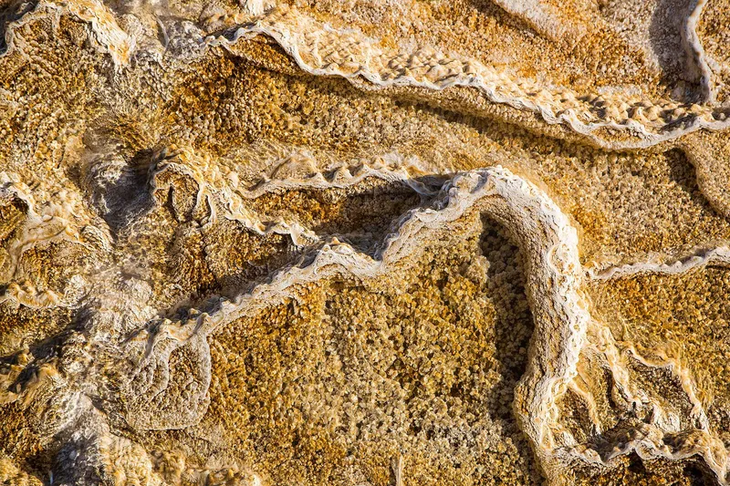 Mammoth Hot Springs in Yellowstone