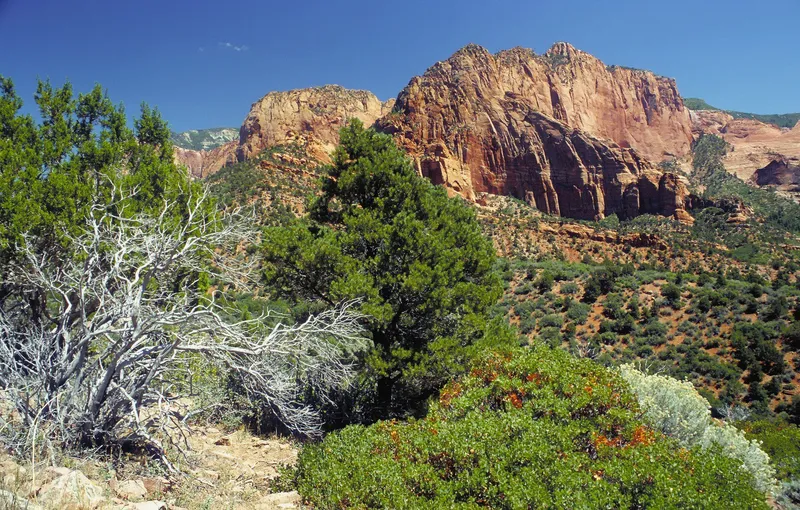 Kolob Canyons in Zion National Park