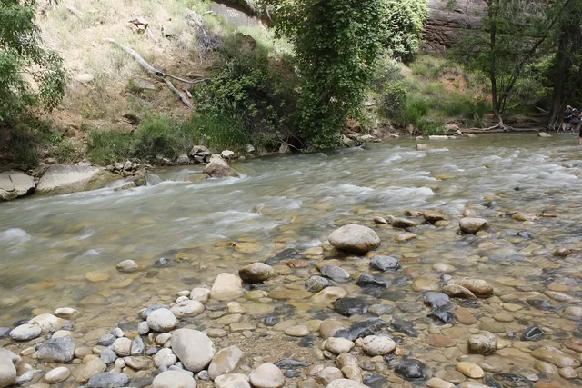 The Narrows in Zion National Park